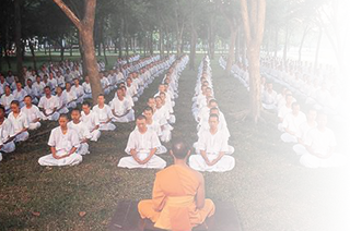 disciplina